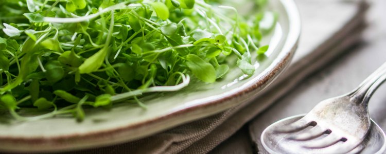 10 veganských jídel bohatých na bílkoviny
